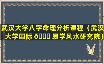 武汉大学八字命理分析课程（武汉大学国际 🐎 易学风水研究院）